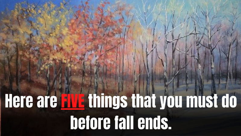Here are five things that you must do before fall ends.